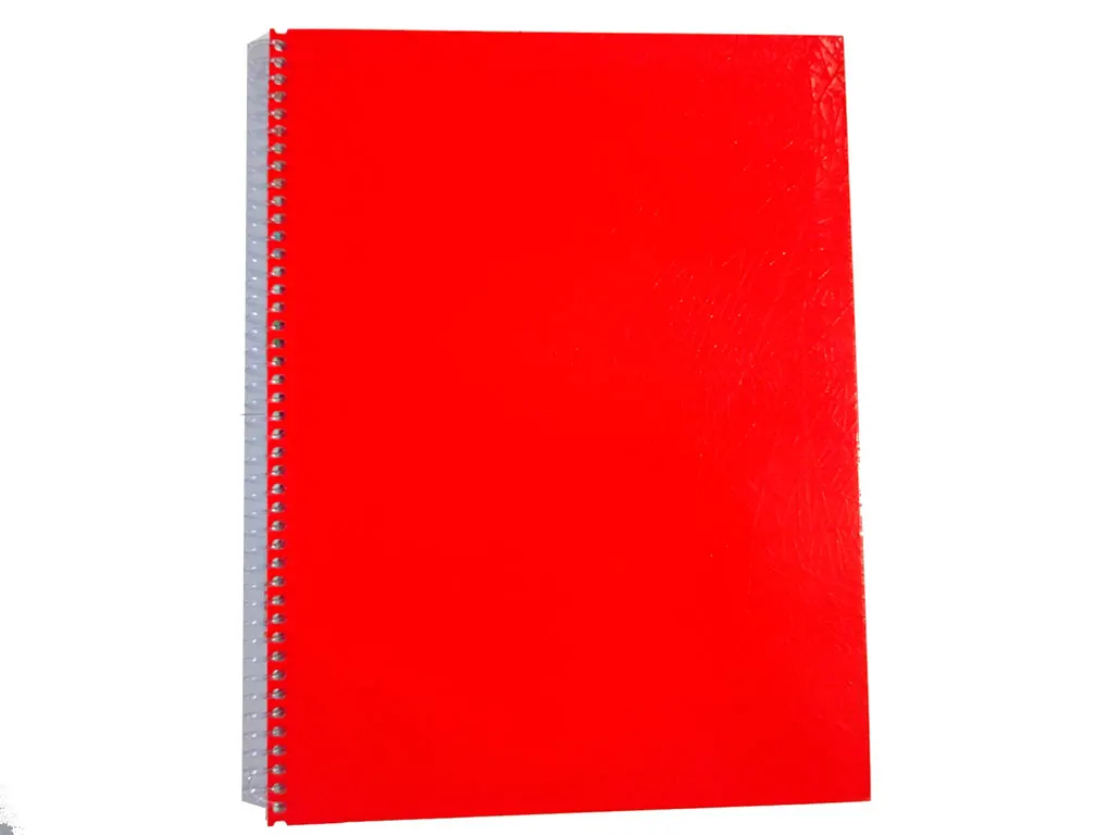 Cuaderno Carta Araña Cuadriculado Anillado